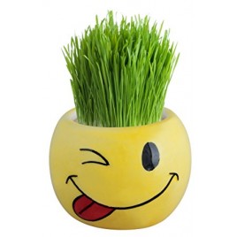 Emoji Grass Head