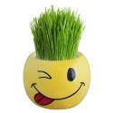Emoji Grass Head