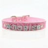 Personalized Pet Dog Collar